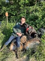 Honden gedragstherapeut / Honden trainer (Officeel Erkend!), Training of Cursus