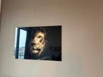 Wanddecoratie Leeuw – Reinders – Glas / Plexiglas, Ophalen
