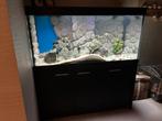 Eheim aquarium 130x60x60, Dieren en Toebehoren, Vissen | Aquaria en Toebehoren, Ophalen, Gebruikt, Leeg aquarium