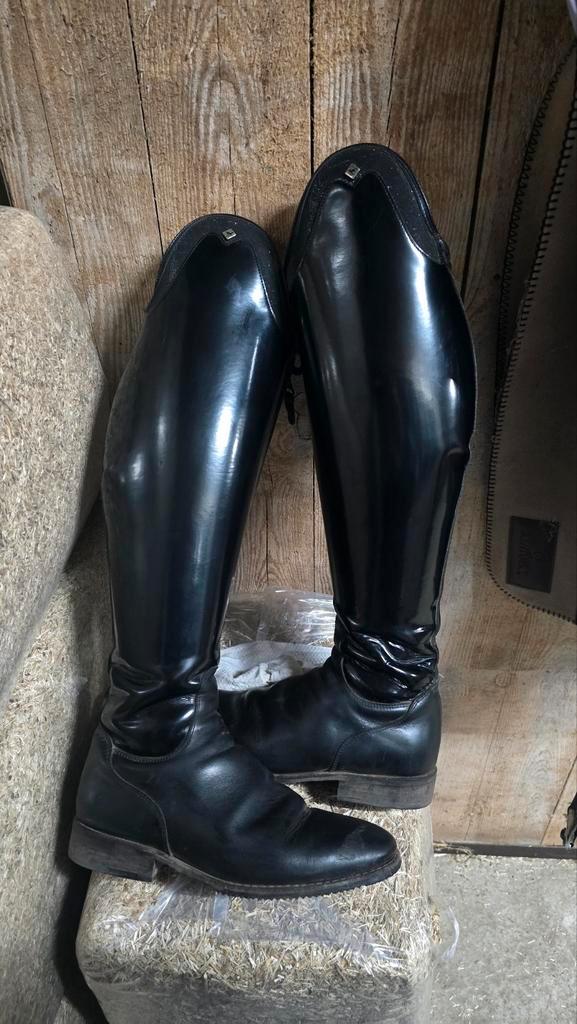 DeNiro Bellini, Dieren en Toebehoren, Paardrijkleding, Schoeisel, Dressuur, Ophalen of Verzenden