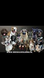 Honden Uitlaatservice & Opvang, Diensten en Vakmensen, Dieren | Honden | Verzorging, Oppas en Les, Uitlaatservice