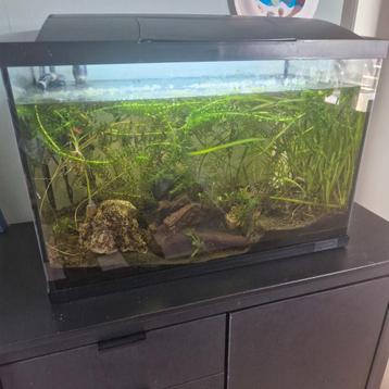 Aquarium Superfish 70 beschikbaar voor biedingen