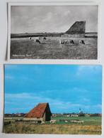 2 kaarten schapenboet, Texel, uit 1954 en 1995, Ophalen of Verzenden, Gelopen, Waddeneilanden