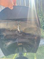 Peugeot Vivacity Buddy Bak, Ophalen of Verzenden, Gebruikt