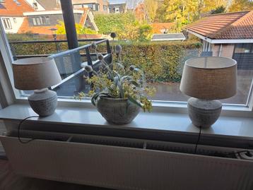 2 Lampen + Pot - Bijpassende Set beschikbaar voor biedingen