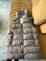 Zara bodywarmer, Kleding | Dames, Bodywarmers, Ophalen of Verzenden, Nieuw, Maat 46/48 (XL) of groter
