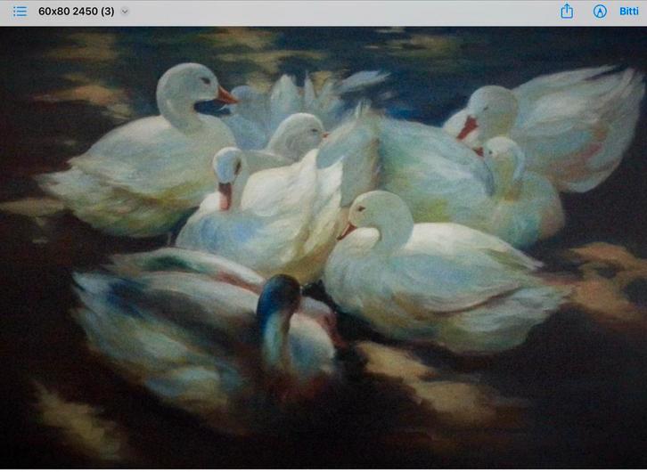 Schilderij van Zwanen, Antiek en Kunst, Kunst | Schilderijen | Klassiek, Ophalen of Verzenden