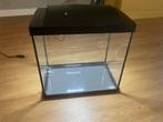 Aquariums, Dieren en Toebehoren, Ophalen, Gebruikt, Leeg aquarium