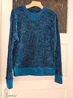 Scotch and soda trui maat L, Ophalen of Verzenden, Zo goed als nieuw, Maat 38/40 (M)