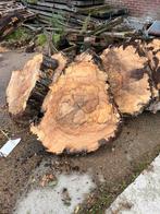 Boomstam schijven , decoratie, Huis en Inrichting, Ophalen of Verzenden