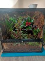 Exo Terra Terrarium 45x45x45cm, Ophalen, Zo goed als nieuw, Terrarium of Paludarium