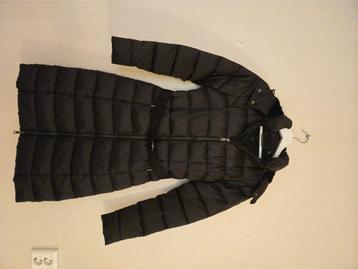 Winterjas Ted Baker beschikbaar voor biedingen