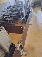 kraamhok omranding, Dieren en Toebehoren, Varken
