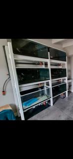 Kweekstelling 6 aquariums 80cm, Ophalen