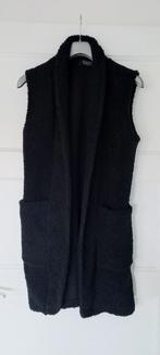 Zwarte Teddy Gilet Envy Collectie - Maat S/M, Zwart, Ophalen of Verzenden, Zo goed als nieuw, Envy