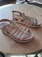 Sandalen goud maat 39 leer Panama jack, Kleding | Dames, Schoenen, Overige kleuren, Zo goed als nieuw, Panama Jack, Sandalen of Muiltjes