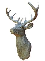 Mooie reeënkop resine hertenkop., Ophalen