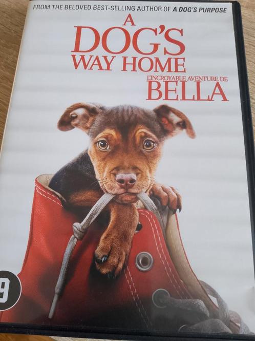 Dogs wat home bella, Cd's en Dvd's, Dvd's | Komedie, Zo goed als nieuw, Actiekomedie, Vanaf 16 jaar, Ophalen of Verzenden