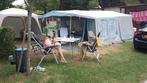 Vouwwagen Alpen Kreuzer Prestige, Caravans en Kamperen, Vouwwagens, Ophalen, Blauw, Tot en met 4, Alpenkreuzer