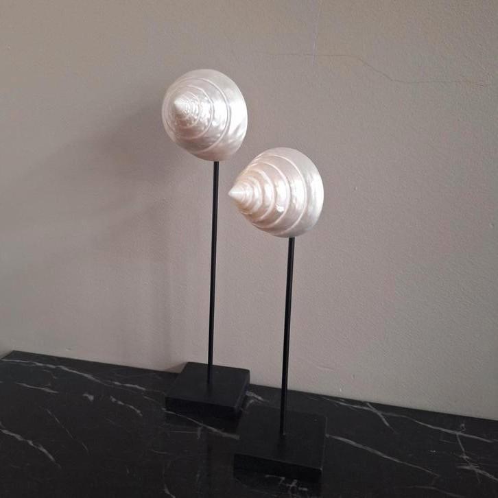 Set wit parelmoer echte schelpen ornamenten hotel chic, Huis en Inrichting, Woonaccessoires | Overige, Nieuw, Ophalen of Verzenden