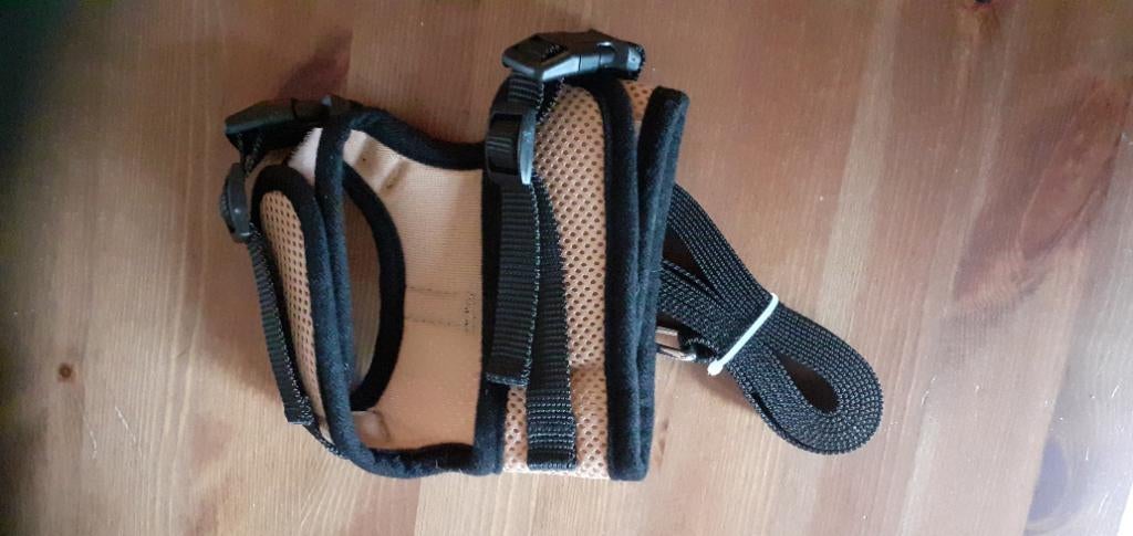 2 kitten/puppy tuigjes nieuw blauw en beige, Dieren en Toebehoren, Ophalen, Nieuw, Hondenriem-accessoire