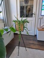 Gouden bloempot op zwarte poten, Ophalen, Kunststof, Rond, Binnen