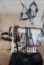 Biothaan shetlander tot a pony mentuig met bitloos hoofdstel, Dieren en Toebehoren, Paarden en Pony's | Hoofdstellen en Tuigage
