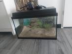 Aqaurium 60L zo goed als nieuw, Dieren en Toebehoren, Vissen | Aquaria en Toebehoren, Ophalen of Verzenden, Zo goed als nieuw
