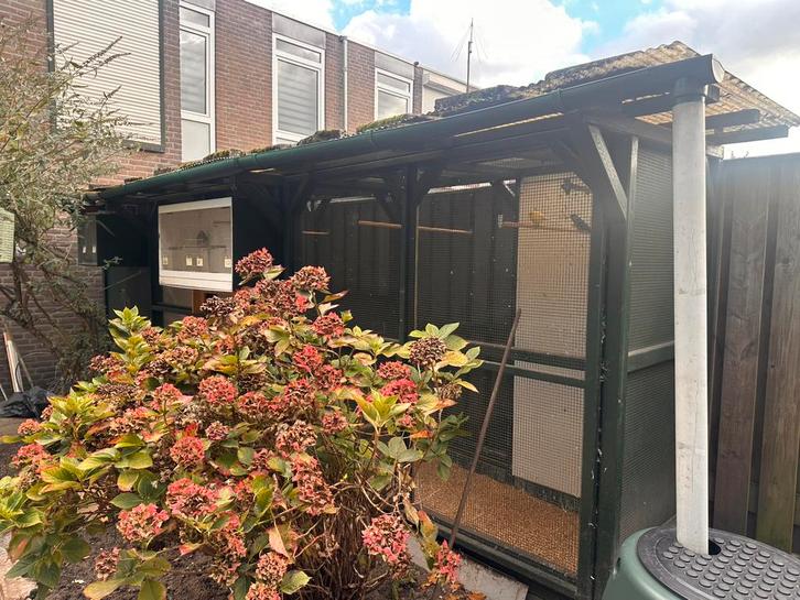 Te koop: kippenkooi/voilère - IN PRIJS VERLAAGD, Dieren en Toebehoren, Vogels | Hokken en Kooien, Gebruikt, Volière, Hout, Ophalen