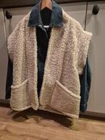 bodywarmer, jasje, vest Dutch Lab. Mt L., Beige, Maat 46/48 (XL) of groter, Nieuw, Ophalen of Verzenden