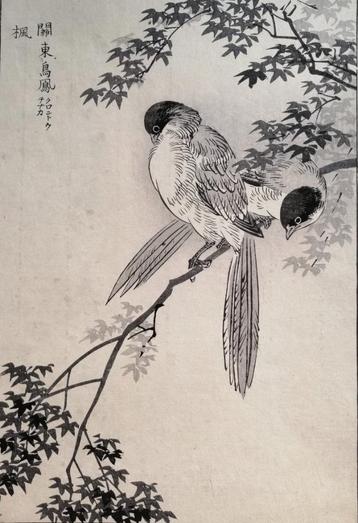 Japanse houtsnede van Kono Bairei - Groot - Vogel no. 2 beschikbaar voor biedingen