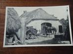 W29 - Veluwe - Boerderij - Paard - Mooi/Oud, Ophalen of Verzenden, 1940 tot 1960, Gelderland
