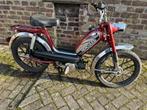 HERCULES automatic, géén kenteken, Gebruikt, 1 versnellingen, 50 cc, Maximaal 25 km/u