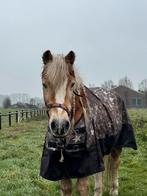 Stal voor lief oud of (vroeg)gepensioneerd paard/pony, Weidegang, 2 of 3 paarden of pony's