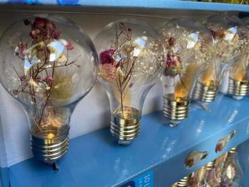 Lampen snoer met droogbloemen bruiloft 4x beschikbaar voor biedingen