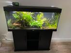 Compleet Aquarium Juwel rio 240, Dieren en Toebehoren, Ophalen, Zo goed als nieuw, Gevuld zoetwateraquarium