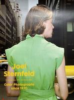JOEL STERNFELD Poster Fotografie Tentoonstelling FOAM NYC, Ophalen of Verzenden, Zo goed als nieuw, Rechthoekig Staand, Overige onderwerpen