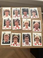 Psv panini Vanderhout 1981-1982, Ophalen of Verzenden, Gebruikt, PSV, Poster, Plaatje of Sticker