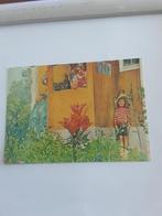 CARL LARSSON   1981, Ophalen of Verzenden, 1980 tot heden