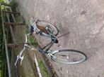 Batavus damesfiets 53cm 7 versnelling., Fietsen en Brommers, Ophalen, Versnellingen, Batavus, 53 tot 56 cm