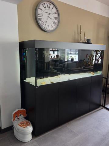 Aqualife modern line aquarium 180x70x60 compleet en ZGAN beschikbaar voor biedingen