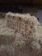Hooi, Dieren en Toebehoren, Dierenvoeding, Ophalen, Vee