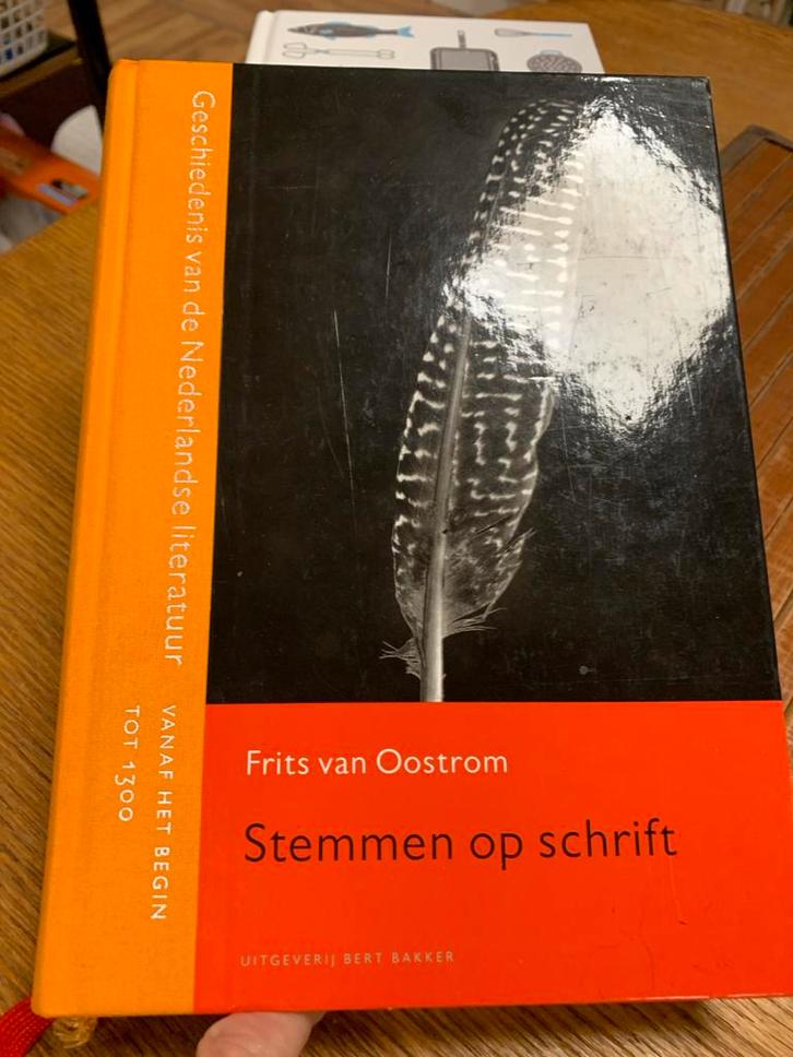 Geschiedenis van de nederlandse literatuur, Boeken, Literatuur, Ophalen of Verzenden