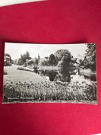 Oude Ansichtkaart Winschoten, Verzamelen, Ansichtkaarten | Nederland, Ophalen of Verzenden, 1960 tot 1980, Gelopen, Groningen