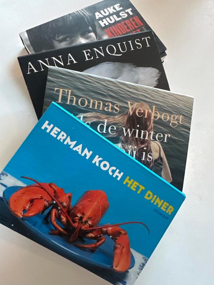 Boekenpakket Nederlandse auteurs - 4 romans, Boeken, Romans, Gelezen, Nederland, Ophalen of Verzenden