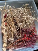 Verschillende soorten droogbloemen, Ophalen, Zo goed als nieuw