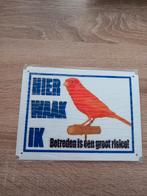 Diverse kanarie, Dieren en Toebehoren, Vogels | Kanaries, Meerdere dieren