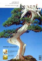 Bonsai Blad, bonsai Focus, bonsai Europe,  magazines, Ophalen of Verzenden, Zo goed als nieuw, Overige typen