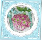 leuke opleg, Verzenden, Nieuw, Natuur, Blanco kaart of Basiskaart