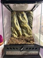 Exo terra 20x20x30, Dieren en Toebehoren, Reptielen en Amfibieën | Toebehoren, Ophalen, Zo goed als nieuw, Terrarium of Paludarium